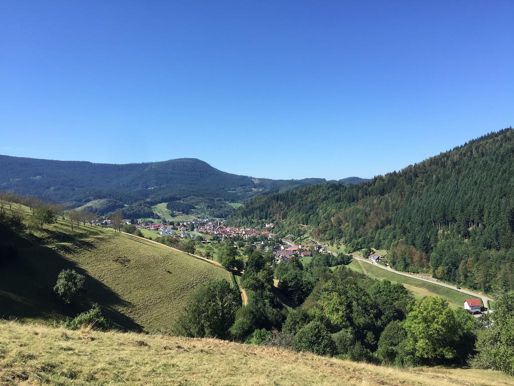 Ferienwohnungen Beilerstaedtle Oppenau Exterior foto